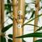 11ft. Green Artificial Bamboo Tree with Real Bamboo Trunks